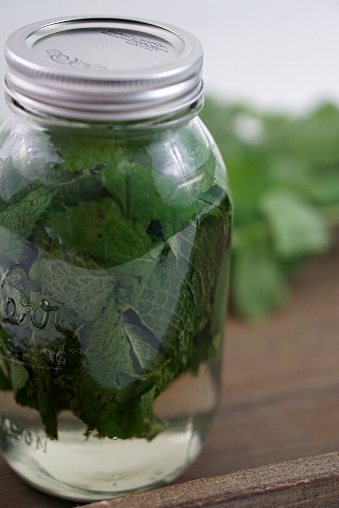 Mint-infused vodka is tasty and easy! All you need is vodka and fresh mint!