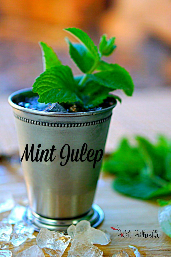 A Mint Julep is made with bourbon, simple syrup, and mint leaves. Enjoy this tradition of the south! By Wet Whistle Drinks by Darla Bentley